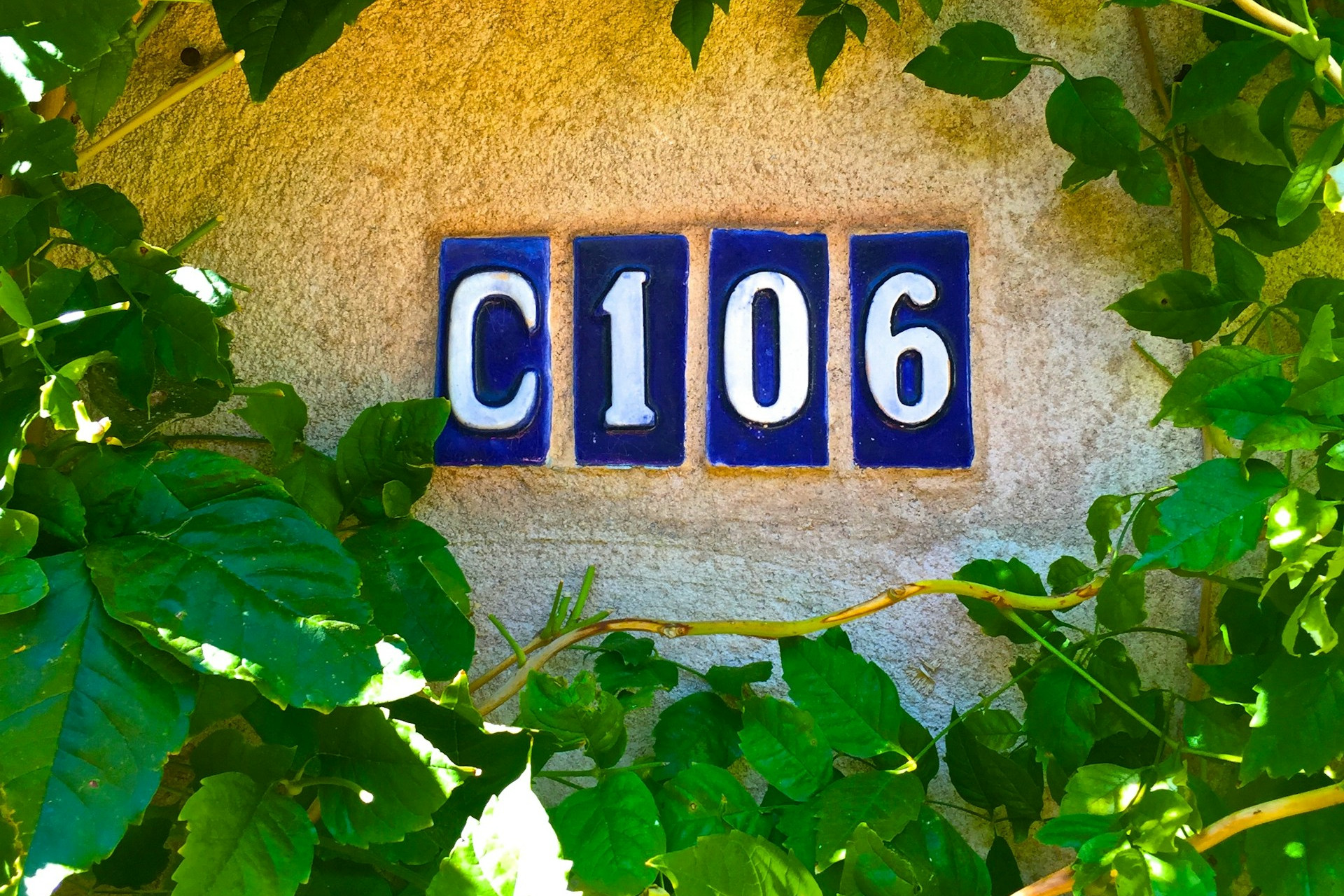 Cycle #106